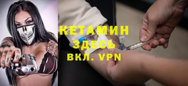шишки Белокуриха