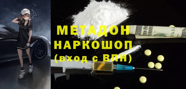 шишки Белокуриха