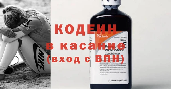 ПСИЛОЦИБИНОВЫЕ ГРИБЫ Заволжье