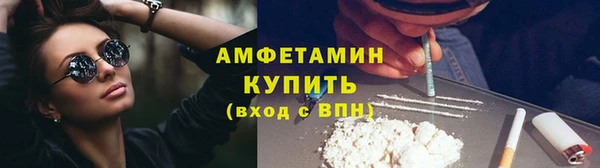 шишки Белокуриха
