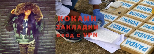 шишки Белокуриха