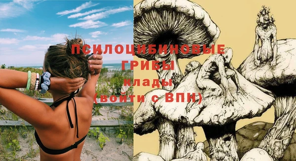 ECSTASY Магадан