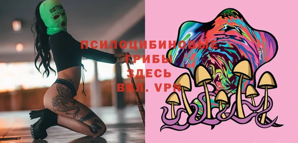 шишки Белокуриха