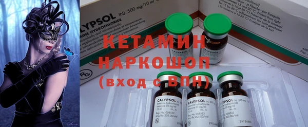 шишки Белокуриха